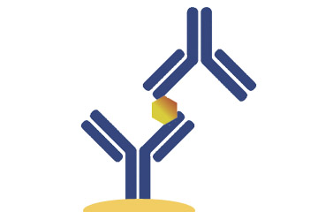 CLIA Kits